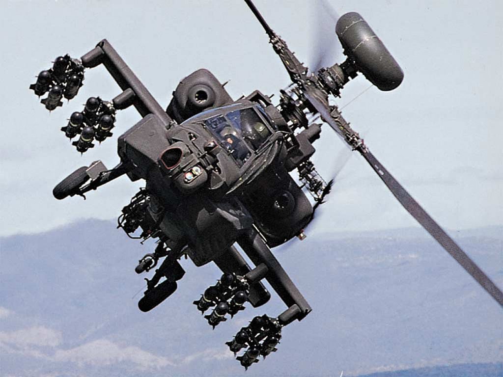 U.S. Army, Public domain, via Wikimedia Commons