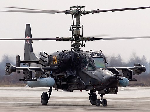 Alex Beltyukov - RuSpotters Team, CC BY-SA 3.0 GFDL 1.2, via Wikimedia Commons