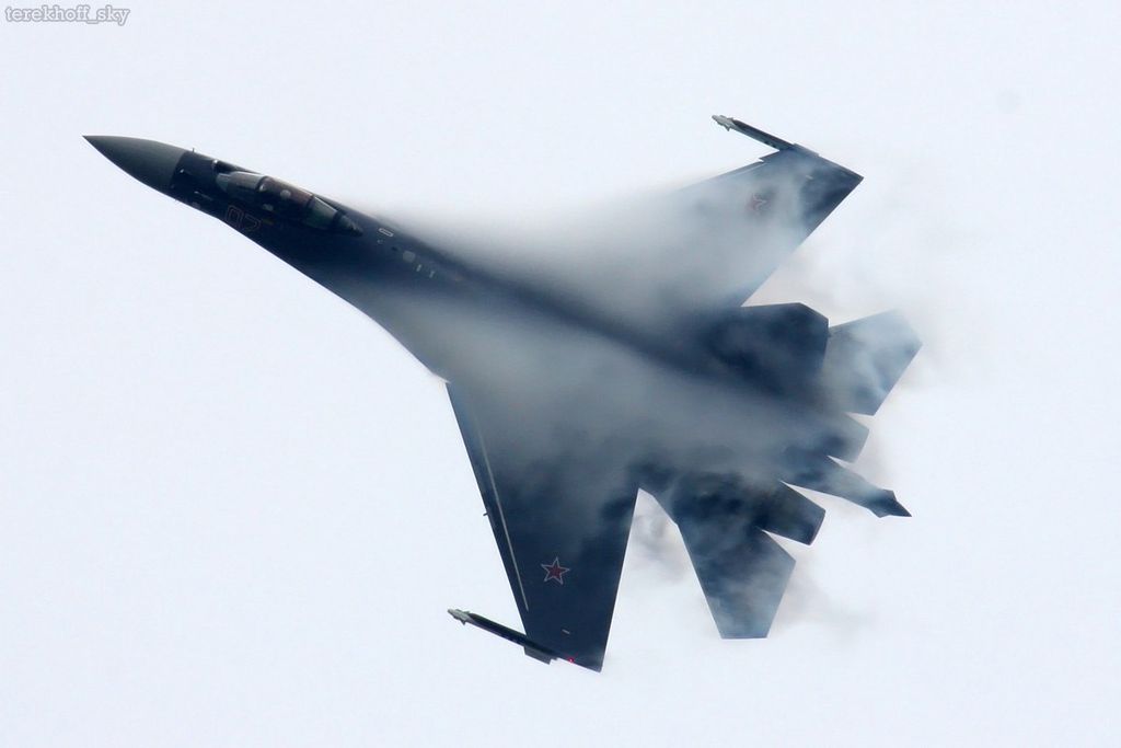 Dmitry Terekhov from Odintsovo, Russian Federation, CC BY-SA 2.0 https://creativecommons.org/licenses/by-sa/2.0 via Wikimedia Commons