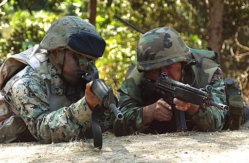 7 saker du inte visste om Heckler – Koch HK33